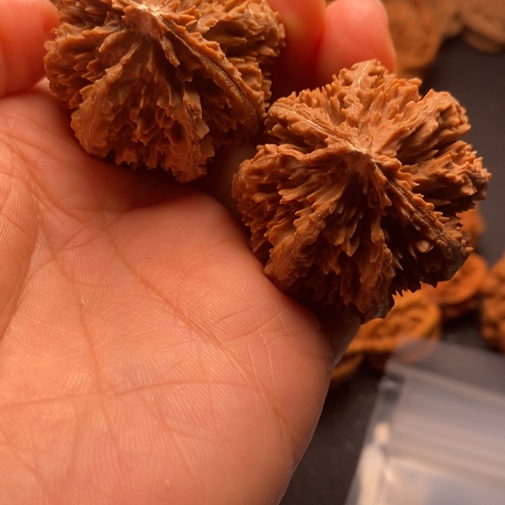 秦岭野生文玩核桃