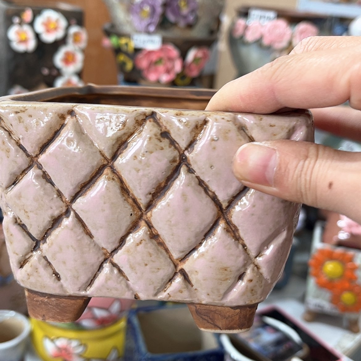 【闪购商品】红陶福利