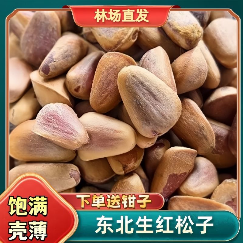 生松子2025年新货东北生松子红松子饱满新鲜颗粒品质营养