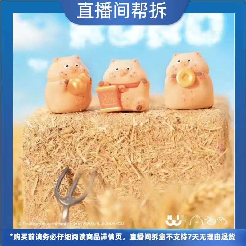 （代拆）Lucky RoRo九花肉好运百分百系列盲盒萌粒手办摆件喜玩潮玩