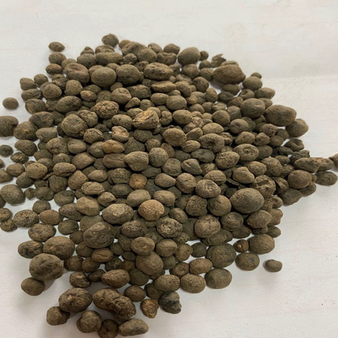 云南深山 地下明珠 地下珍珠 传统滋补农产品