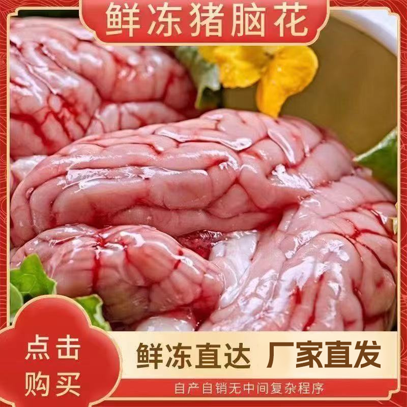 【抢24副】生猪脑花现杀现发京东冷链发货适合火锅烧烤炖汤D