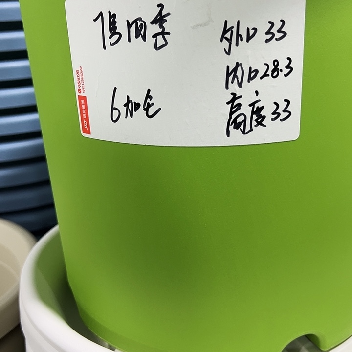 特价7号四季口33高33白色6个无托
