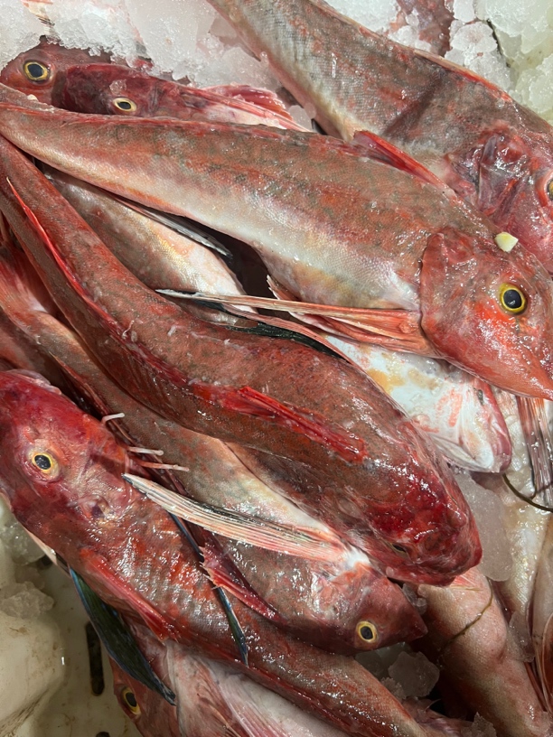野生飞鱼（国公）顺丰发货