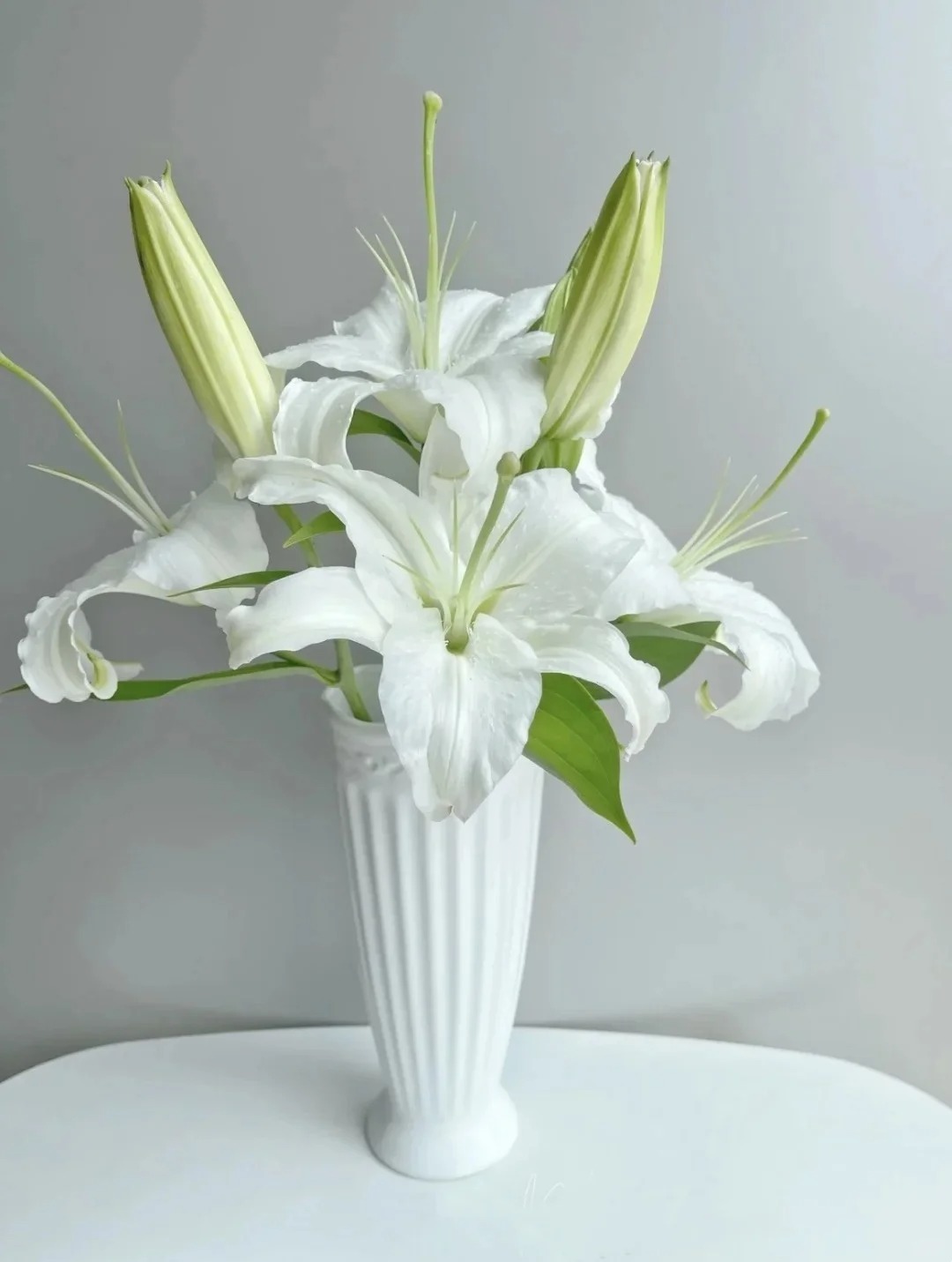 【花满堂】百合 高品质西伯利亚 任意两单包邮 发货后不支持退款