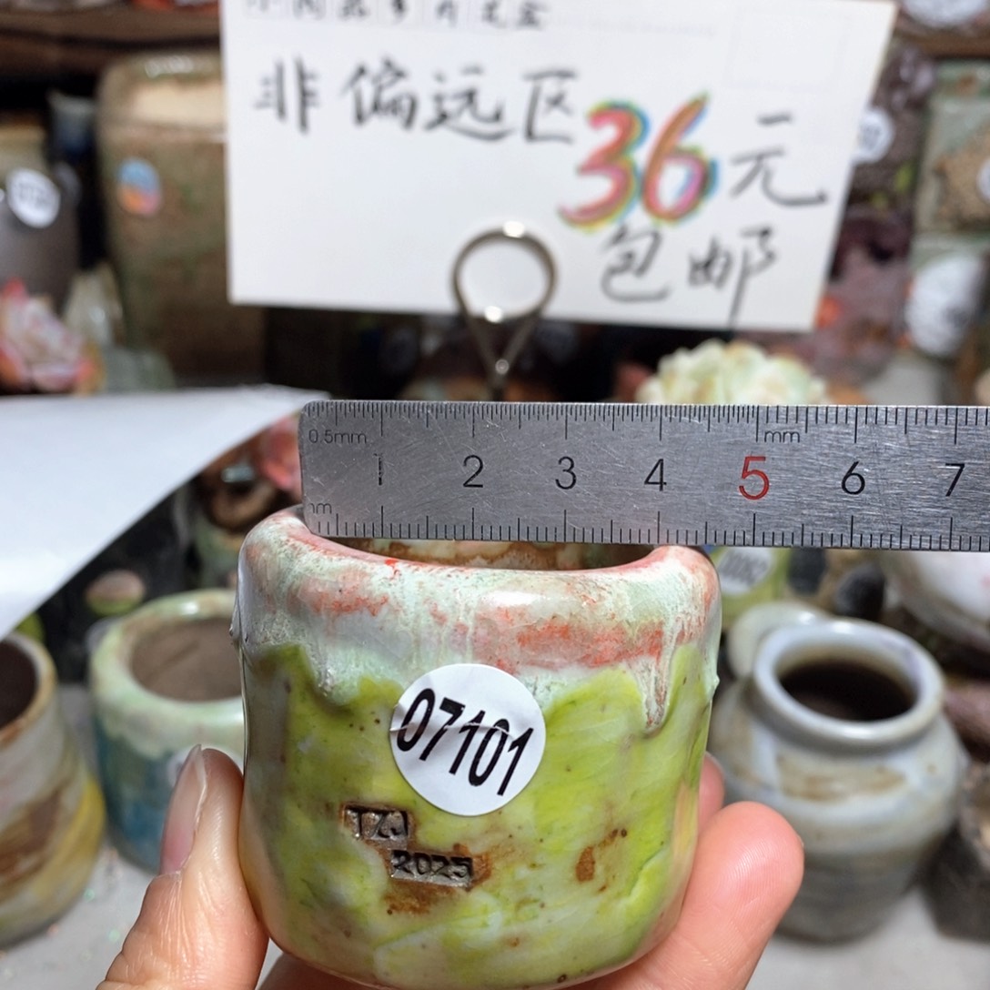 花盆拍3送一个小礼物