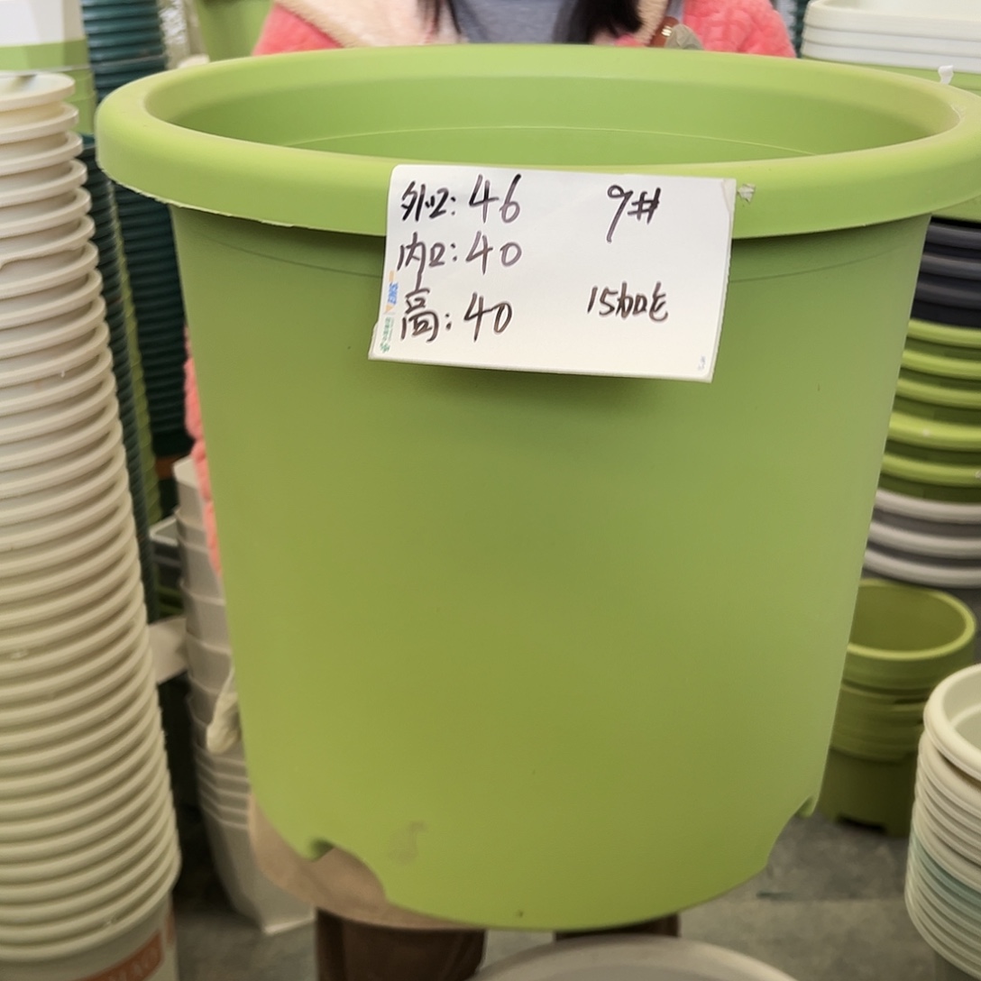 四季盆9#果绿色4个无托