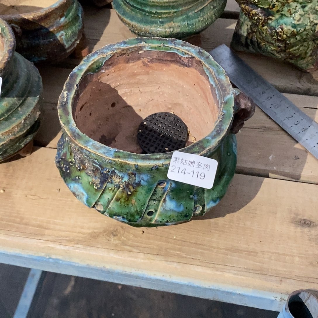 红陶墨**殇119号多肉盆一个呀