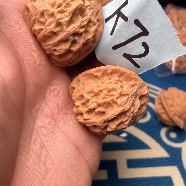 董*二月貌1111111111111