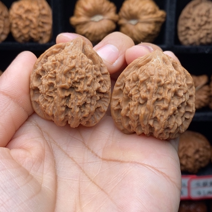 核桃全品满天星36尺