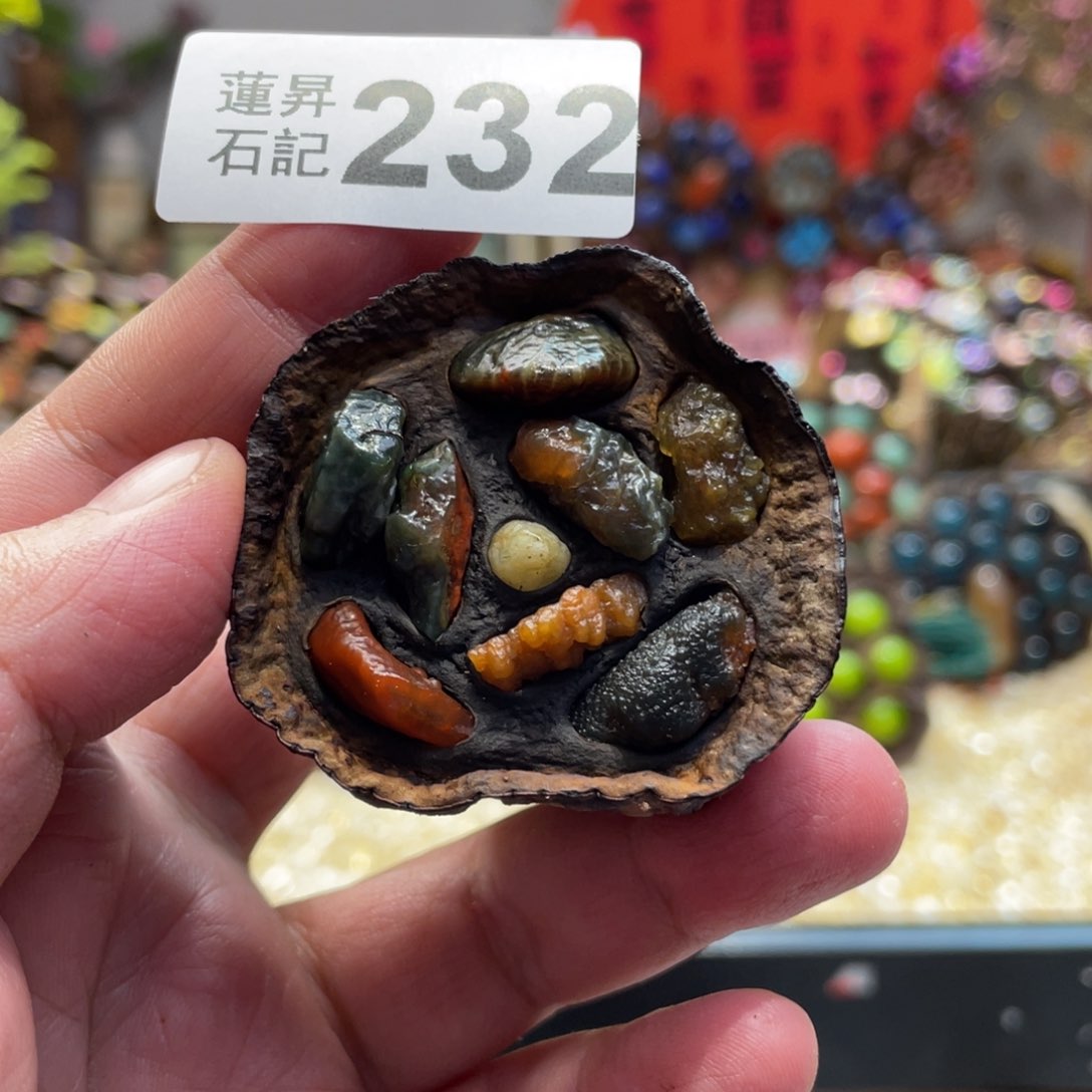 核桃木/黑胡桃（胡桃木）232