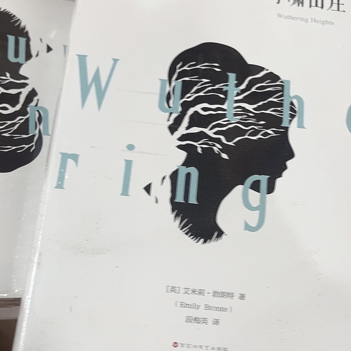 呼啸山庄全新精装