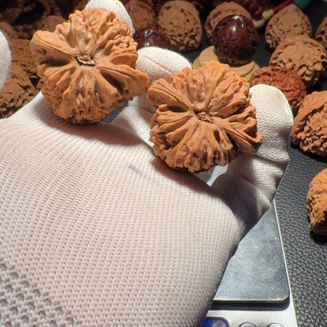 s***文玩核桃吊坠有黄有修有色差