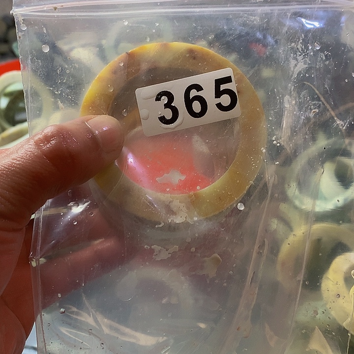 蛇纹石玉原未镶嵌