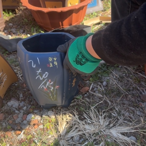 紫砂花盆紫砂花盆盆景盆栽