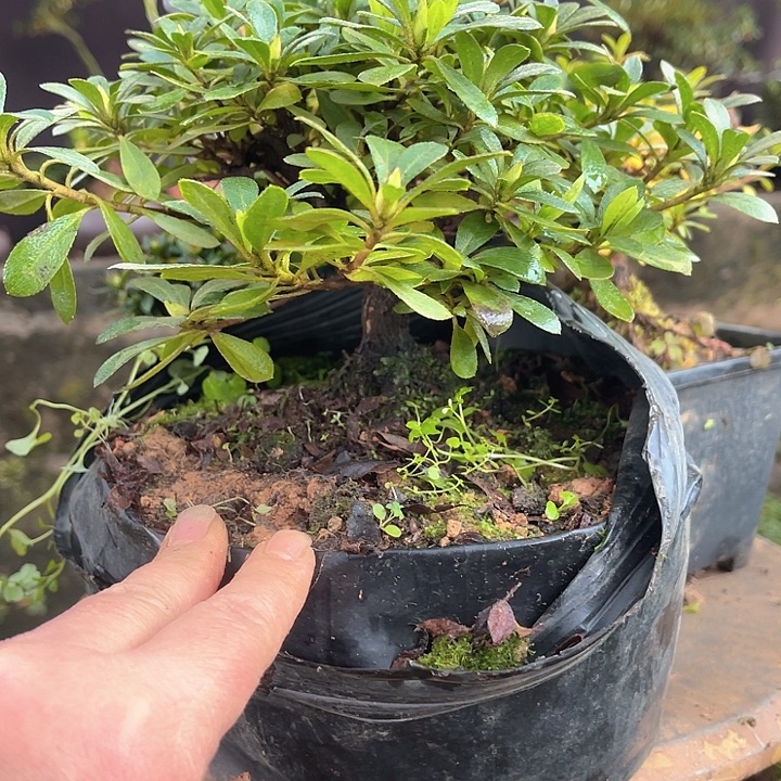 完全开放123456899