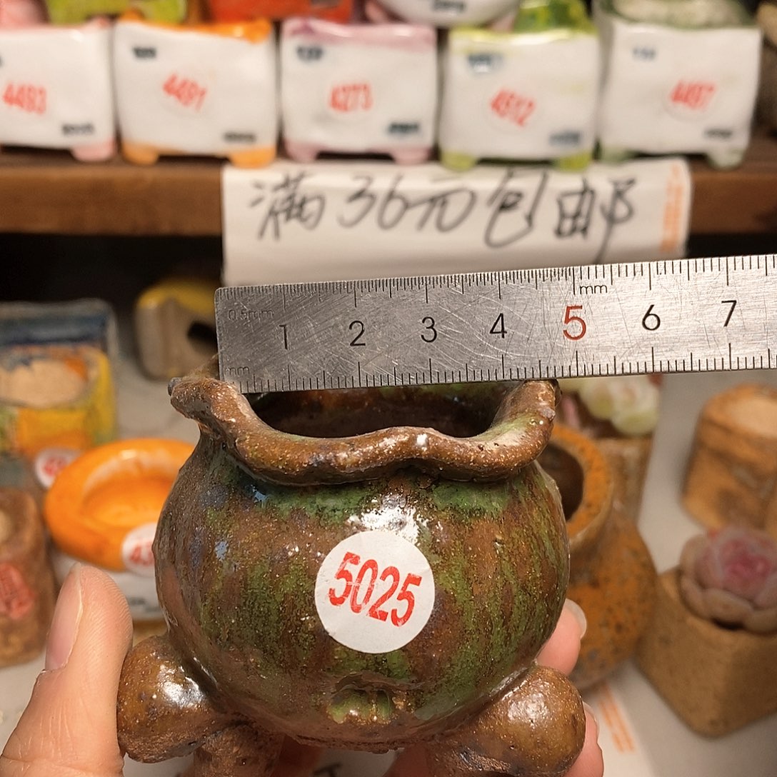 红陶拍5送一个小