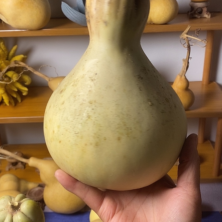杰***大青皮葫芦手把件摆件