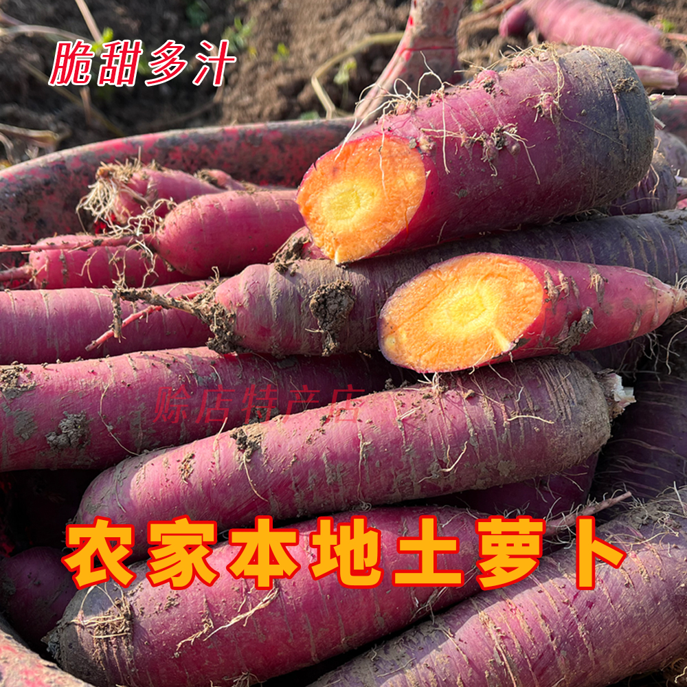 【农家土胡萝卜】露天霜打紫萝卜老品种健康现挖现发新鲜营养带泥