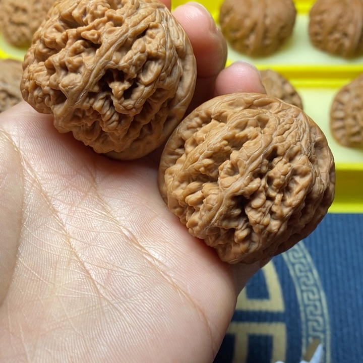 文玩核桃大粗筋43