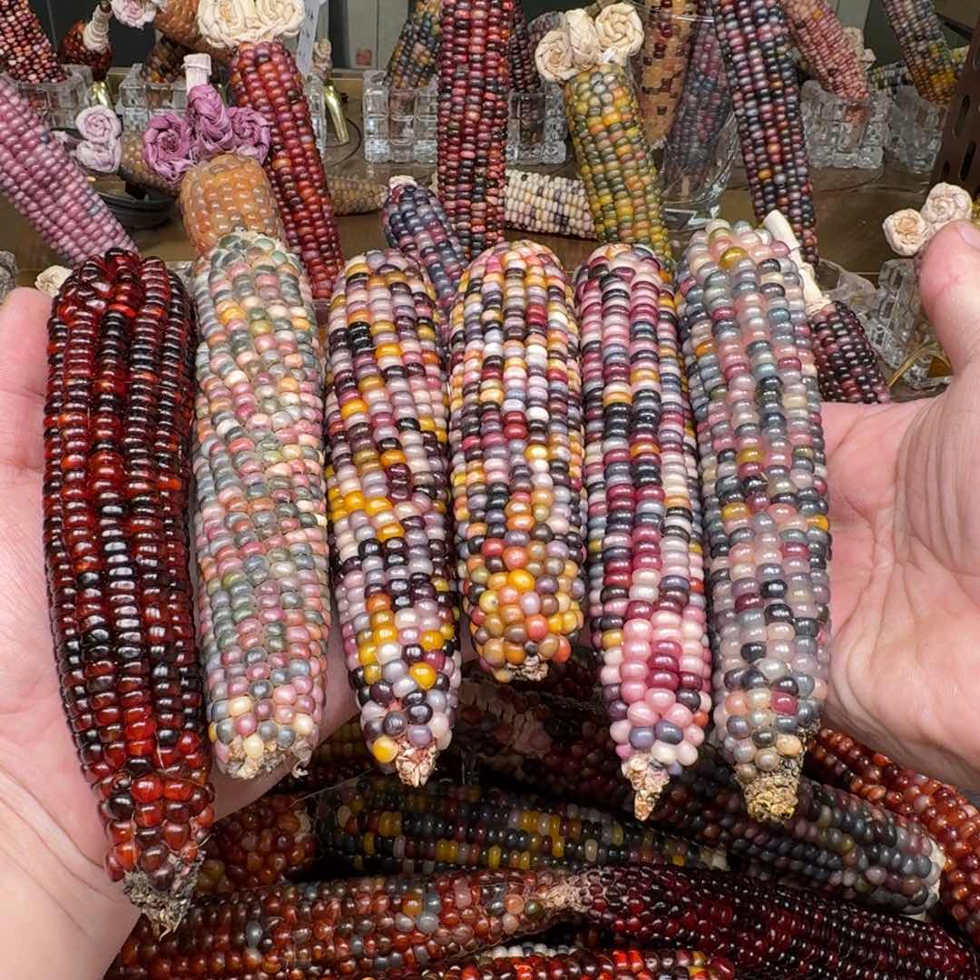 柏香籽/百香籽吊坠陈*幻