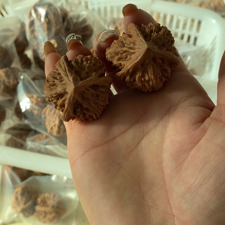 ?**喵三棱三棱三棱三棱三棱