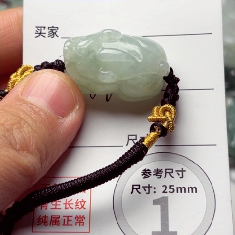 翡翠颈饰未镶嵌貔貅