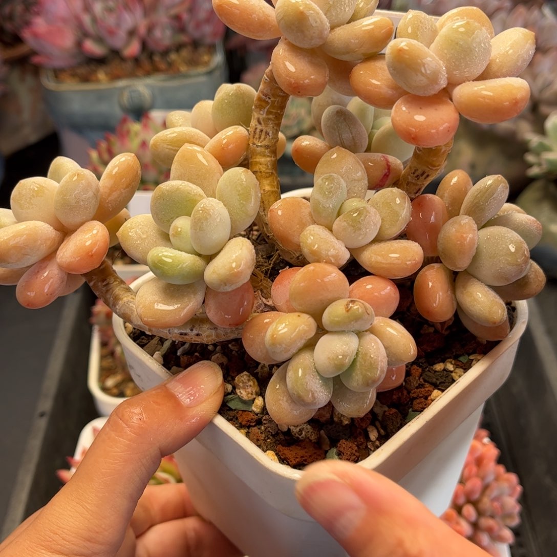 2351 满30包邮天冷地区必拍保温箱