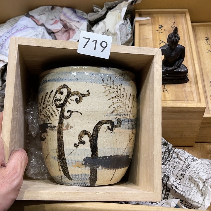 茶宠古*我们都是好孩子呀打脸好