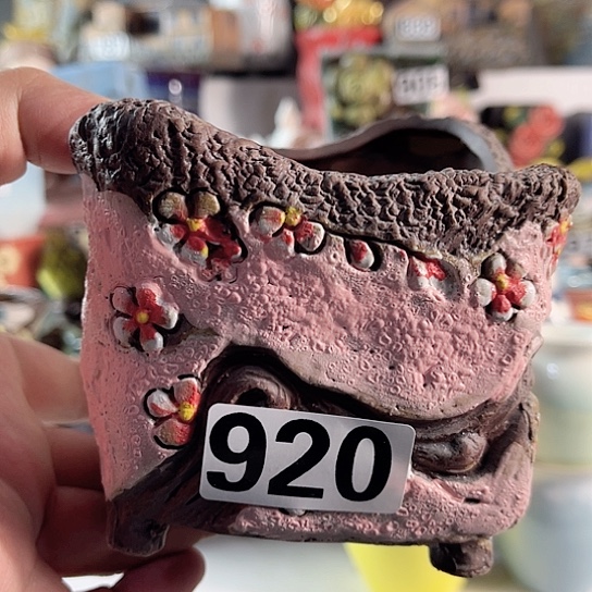 红陶多肉植物花盆