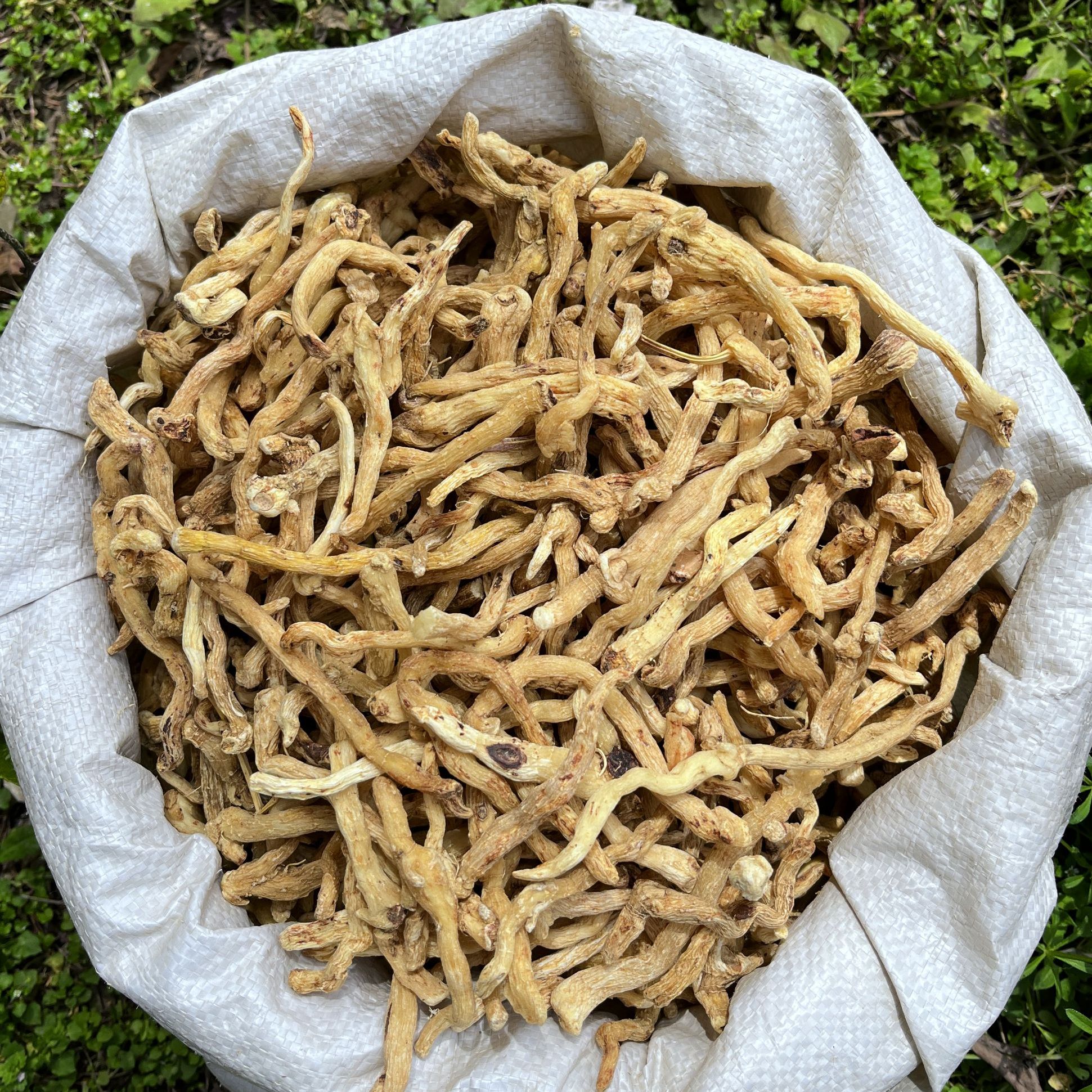 现收山货 玉竹条 煲汤泡酒 可搭配黄芪麦冬