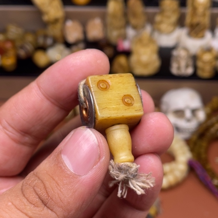 驼骨摆件人工养殖