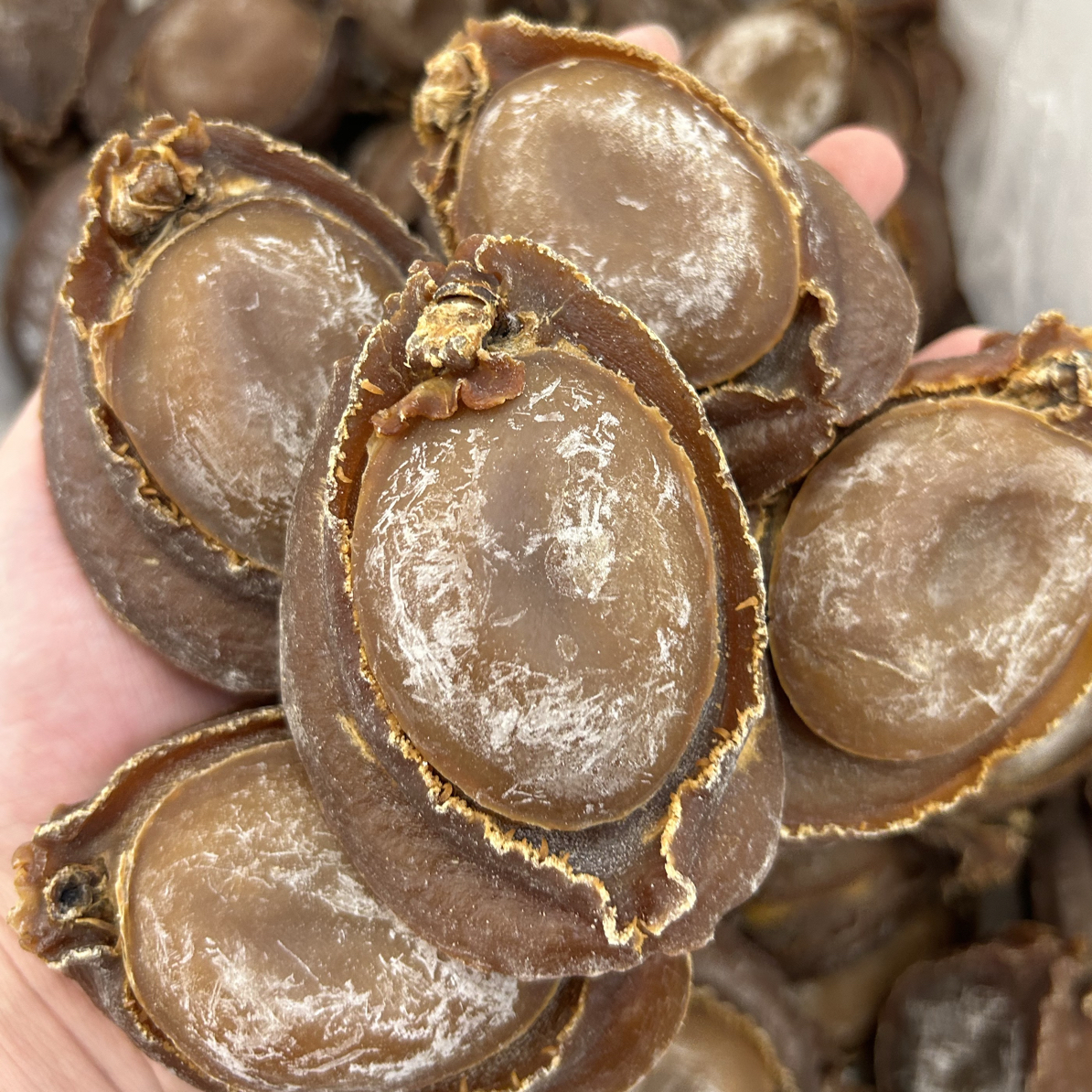 [黎冰滋补]塔斯澳洲青边鲍鱼干