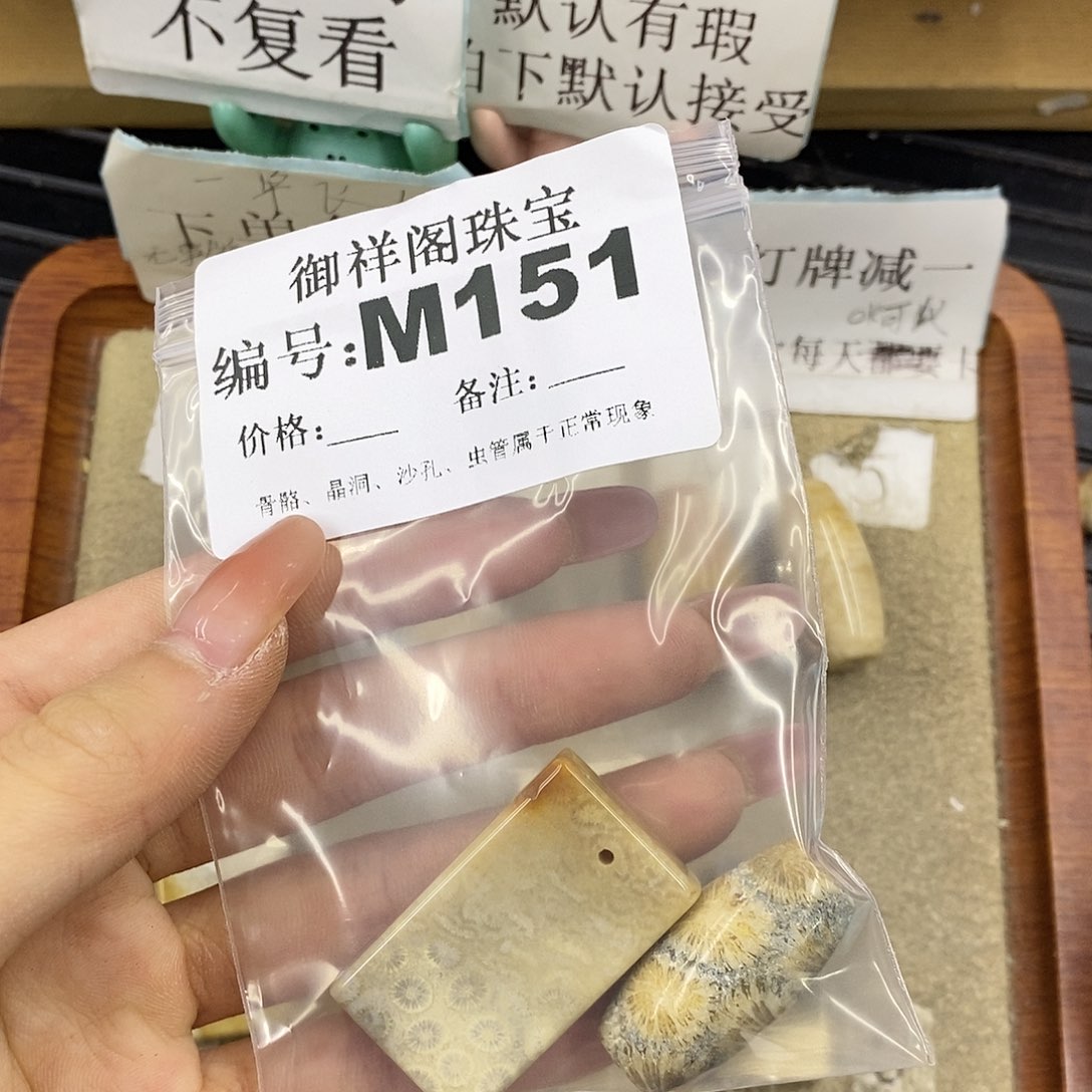 硅化珊瑚（珊瑚玉）未镶嵌颈饰良****Y