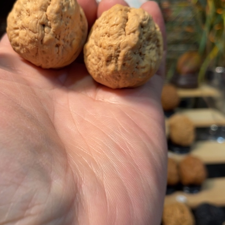 @***淡文玩核桃把件编号60