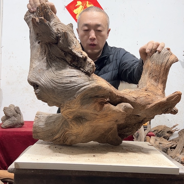 柏木郑****司我们的生活也是如此的