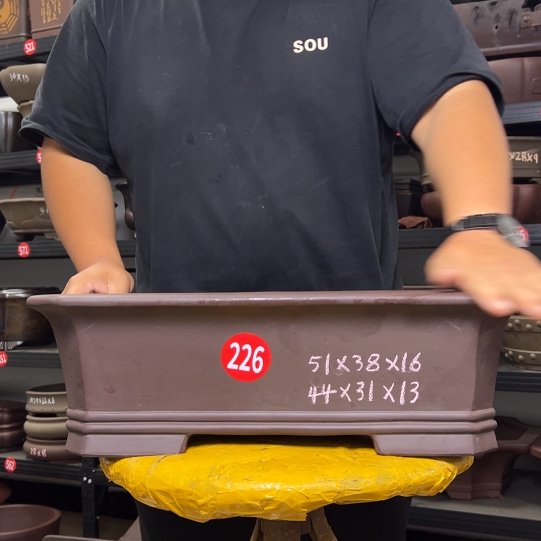 紫砂花盆呜呜呜呜呜我