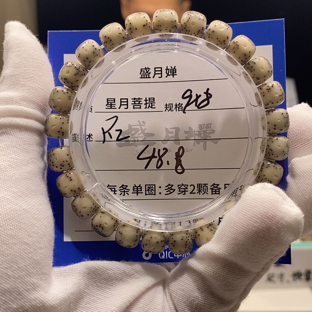 海南星月菩提海南星月菩提R2