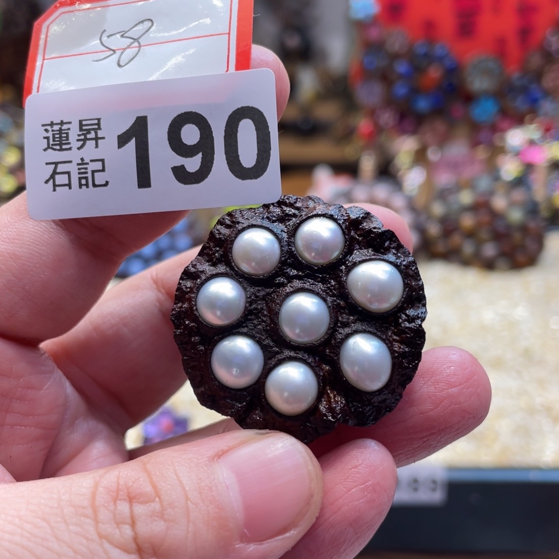 核桃木/黑胡桃（胡桃木）190珍珍