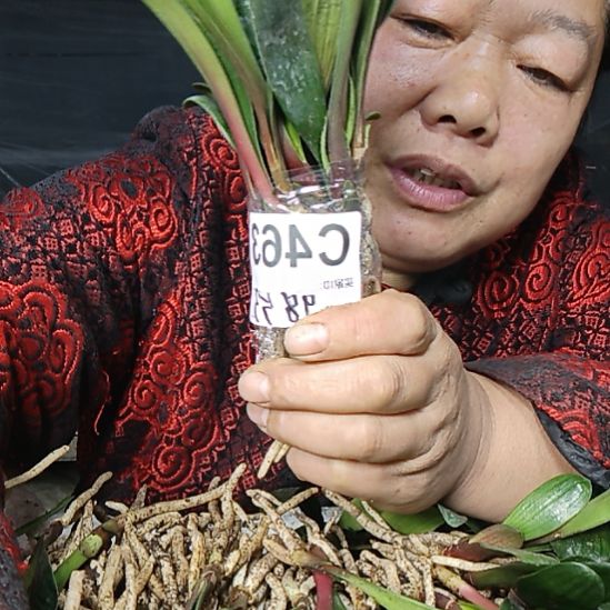 冷****完全开放7777777777