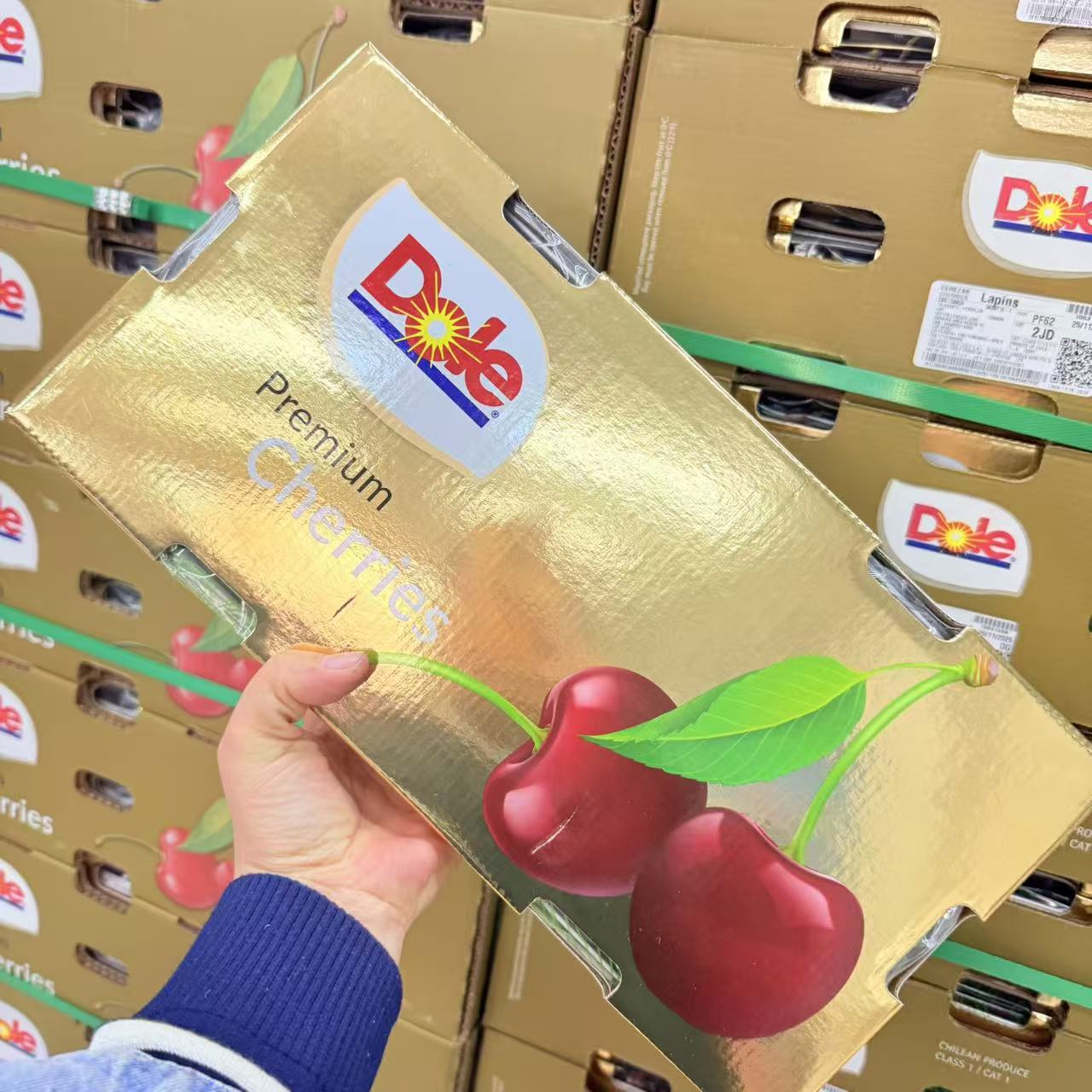 【海运车厘子】智利进口车厘子拉宾斯2KG-2.5KG J-4J内附果径卡