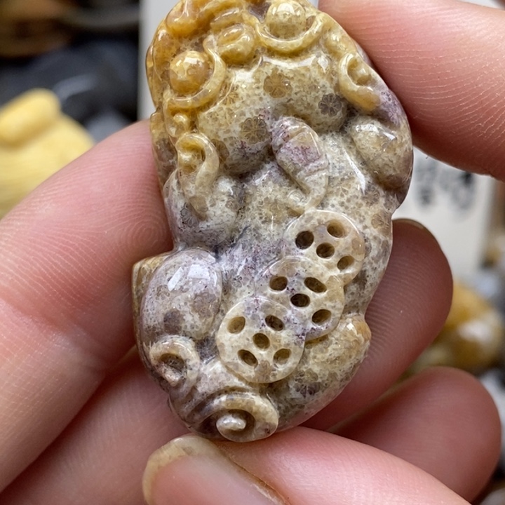 硅化珊瑚（珊瑚玉）未镶嵌颈饰