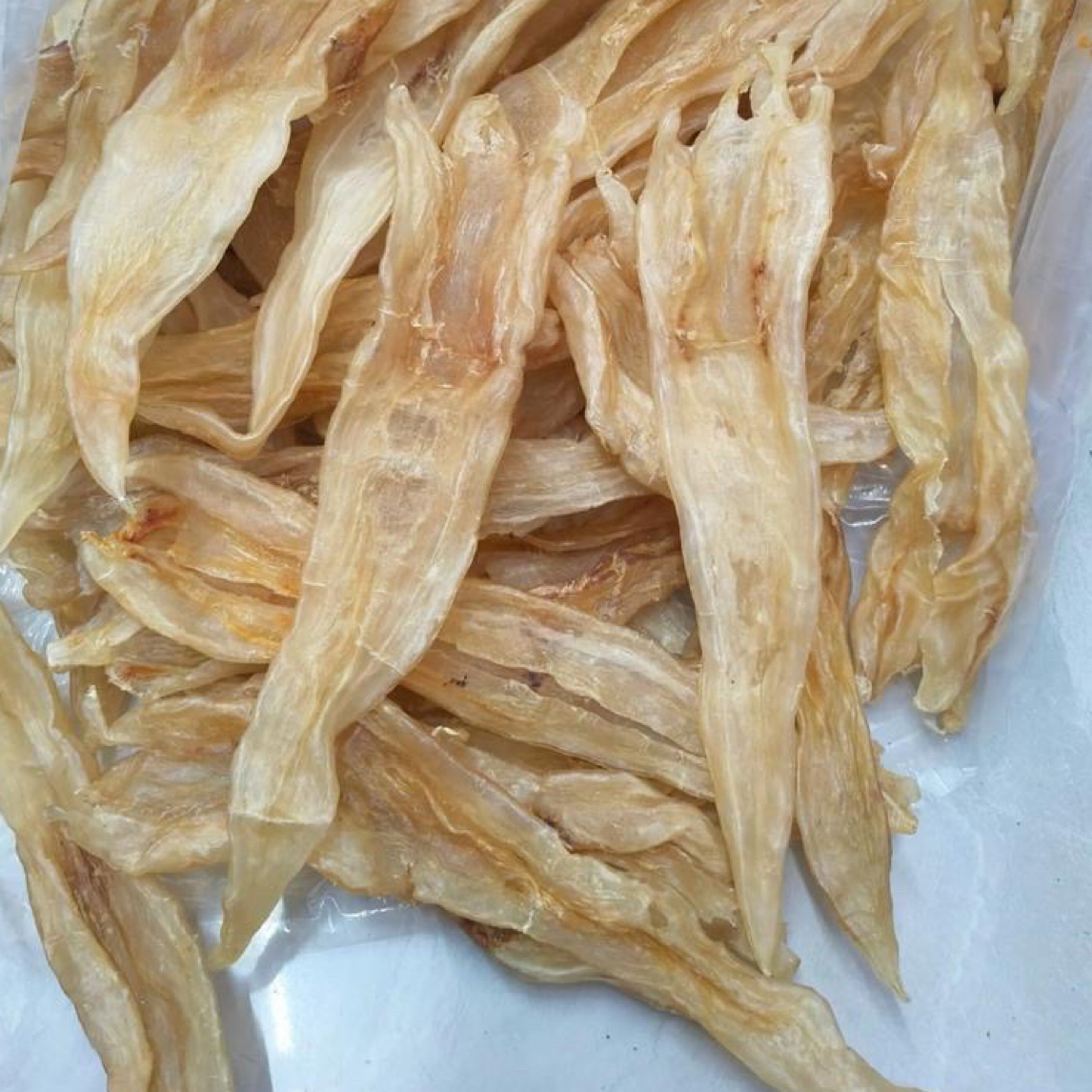 17头北海阴阳胶肉质细腻适合煲汤炖煮滋补养生