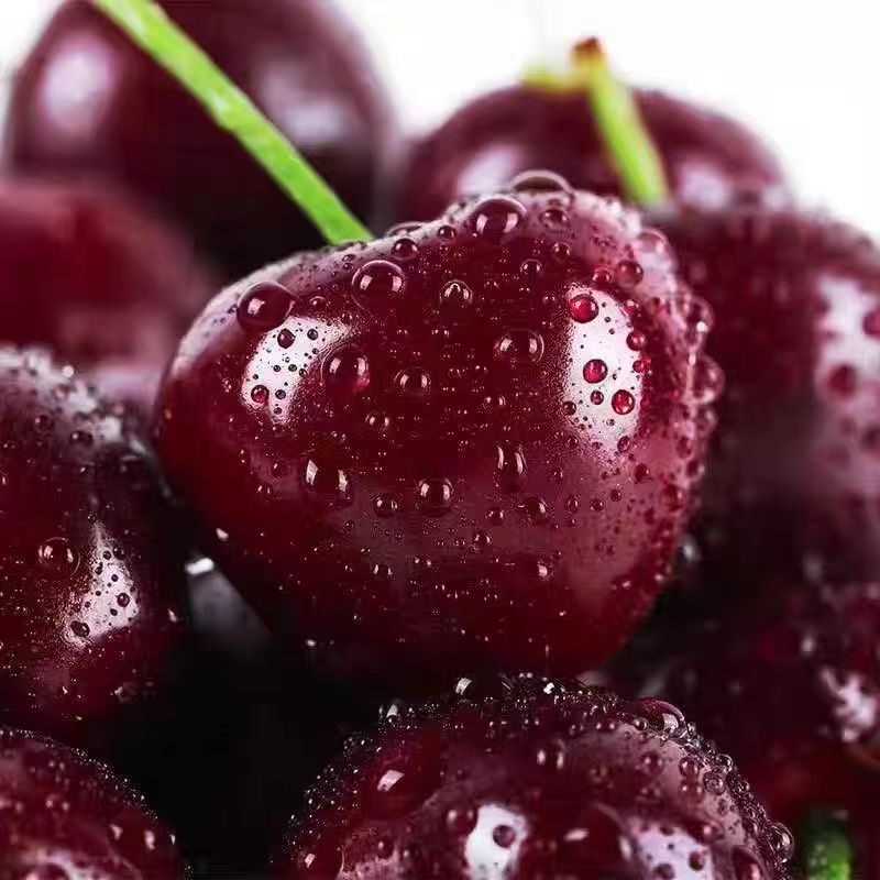 车厘子海运大7(三J)2~5斤内附果径卡仅支持东三省部分区域