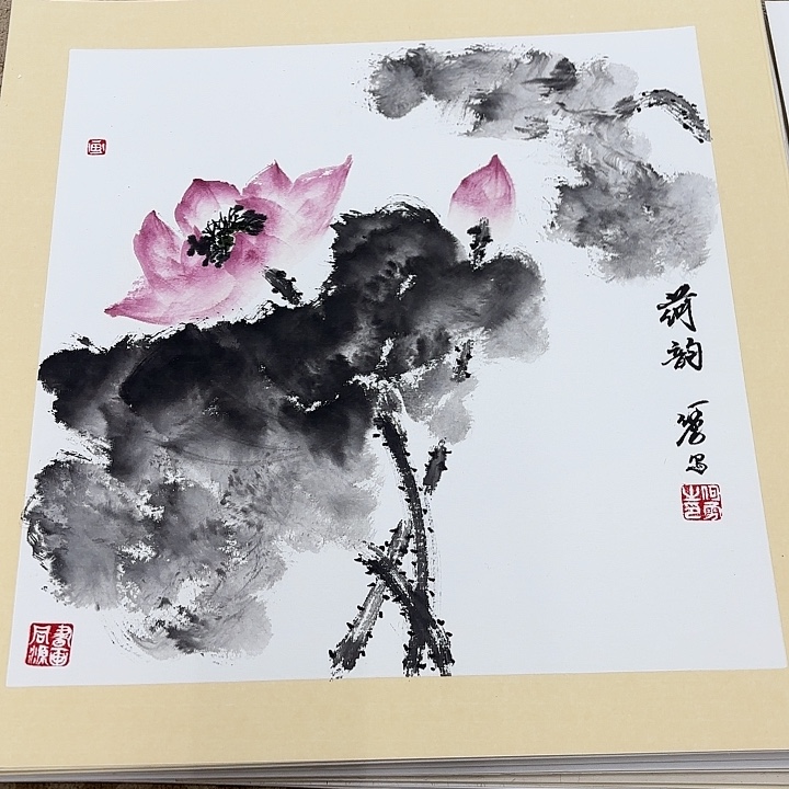 国画花鸟等多种鸟类的栖息地和栖息地