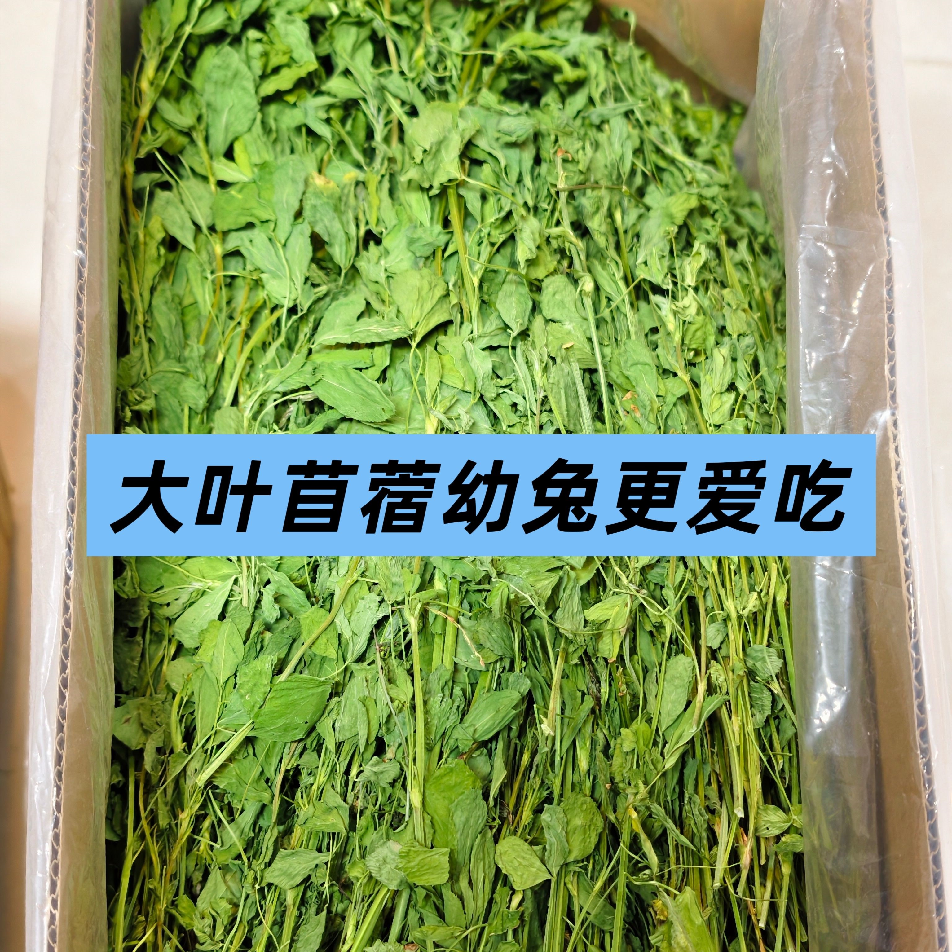 大山兔舍·苜蓿25年最新大叶苜蓿幼兔干草幼年兔粮