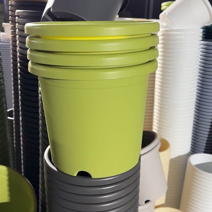 四季5#口径29果绿10个无托