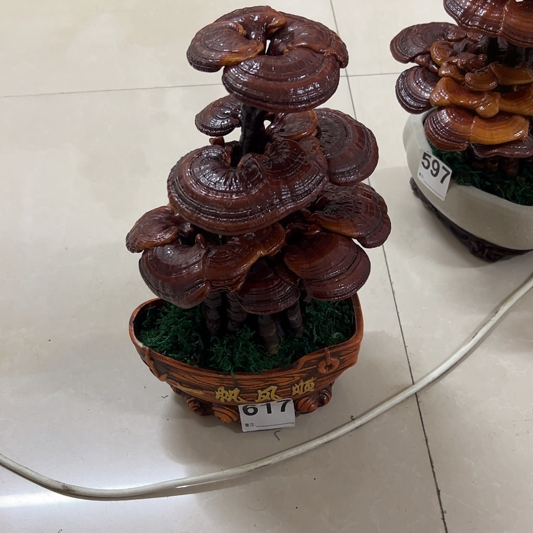 灵芝盆景家居摆件