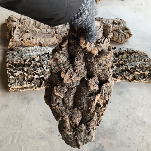 木一物一拍一物一发