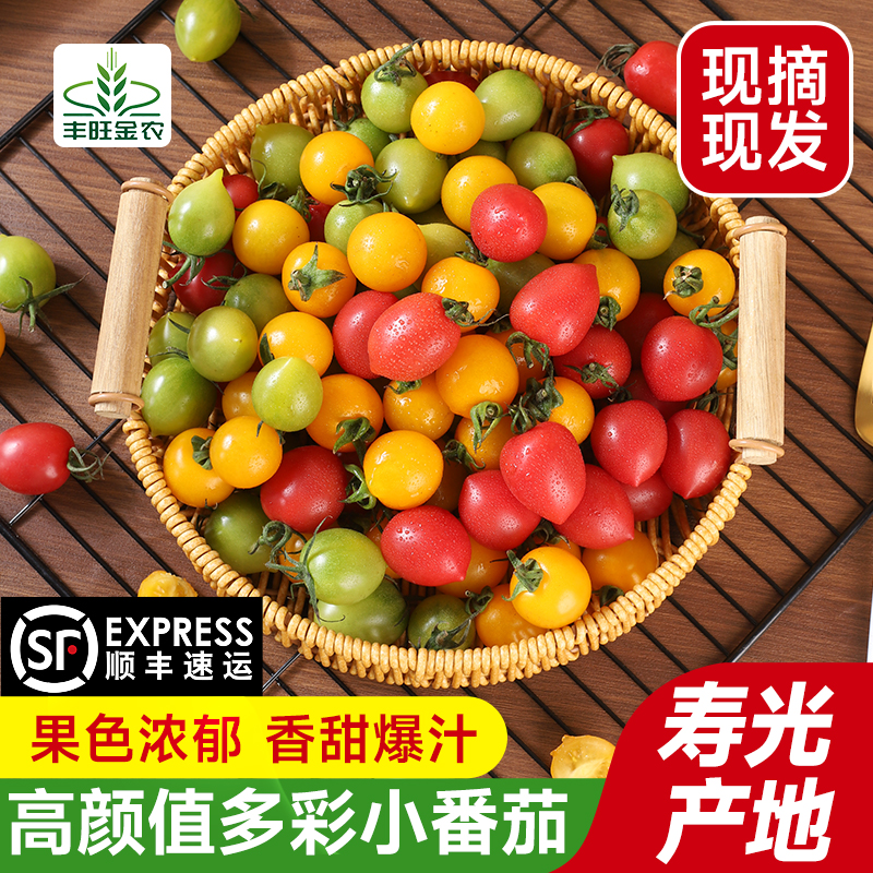 【顺丰包邮】多彩小番茄千禧圣女果草莓樱桃西红柿小番茄甜新鲜爆浆